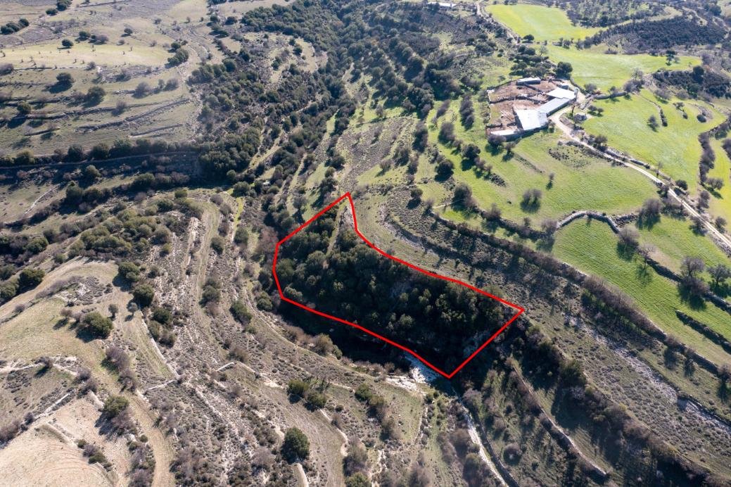 Field in Dora, Limassol photo 3