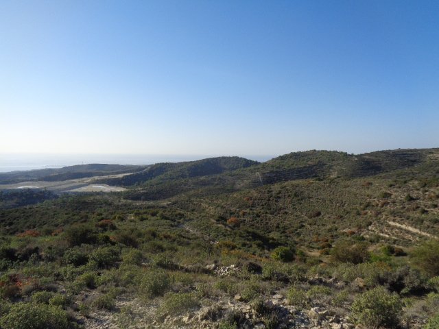 Shared agricultural field in Asgata, Limassol photo 3