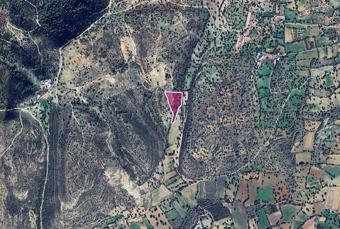 Field, Anogyra, Limassol photo 2