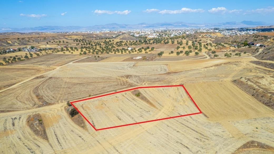 Shared agricultural field in Tseri, Nicosia photo 5