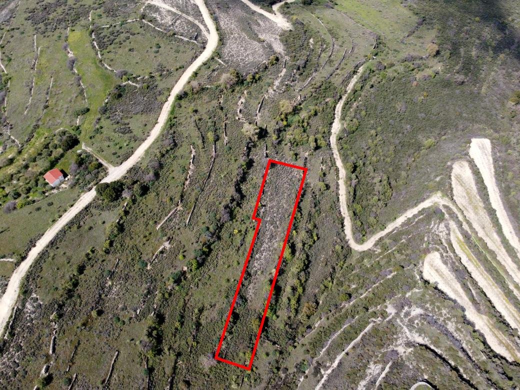 Field in Potamiou, Limassol photo 3