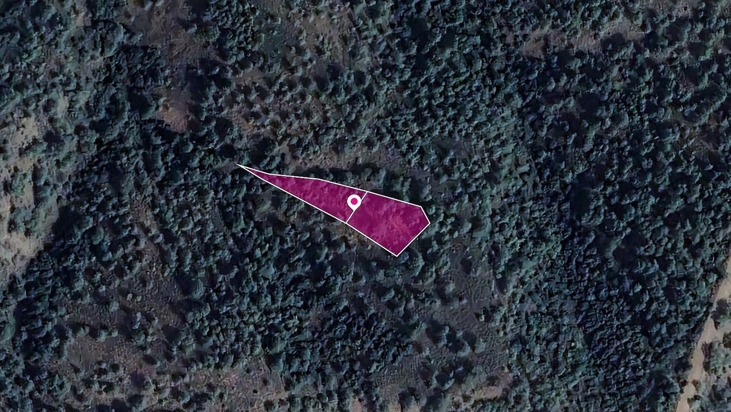 Two Fields in Kampos, Nicosia photo 2