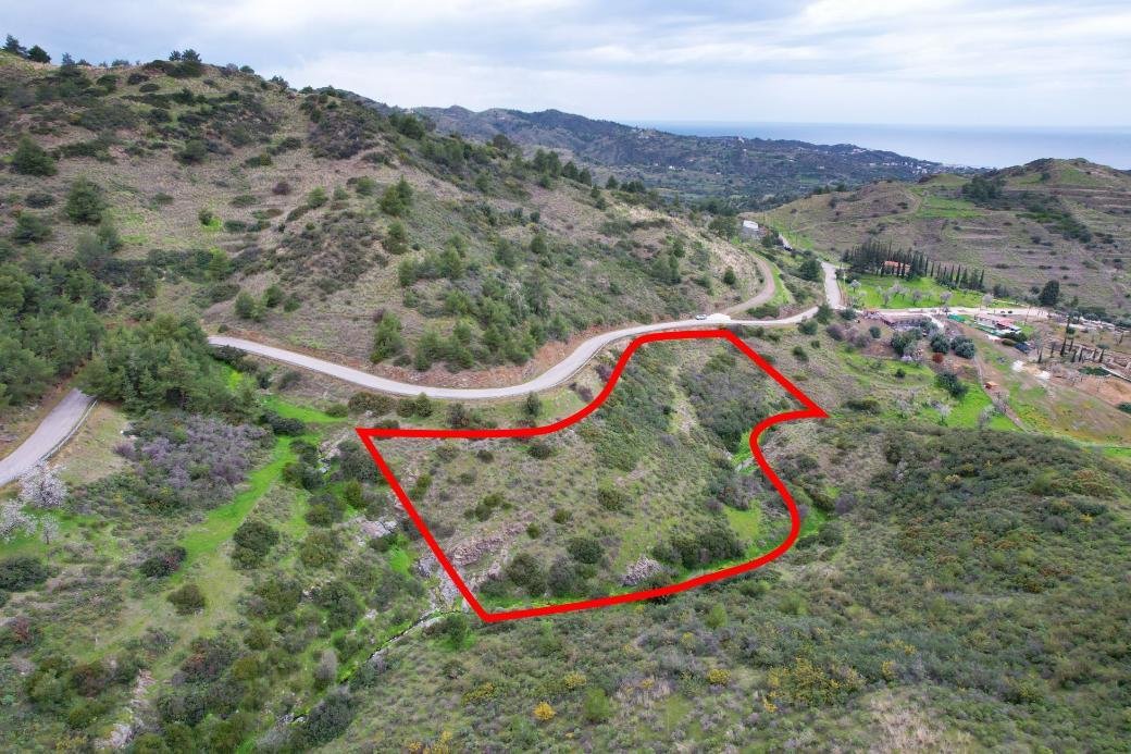 Field in Pano Pyrgos, Nicosia photo 5
