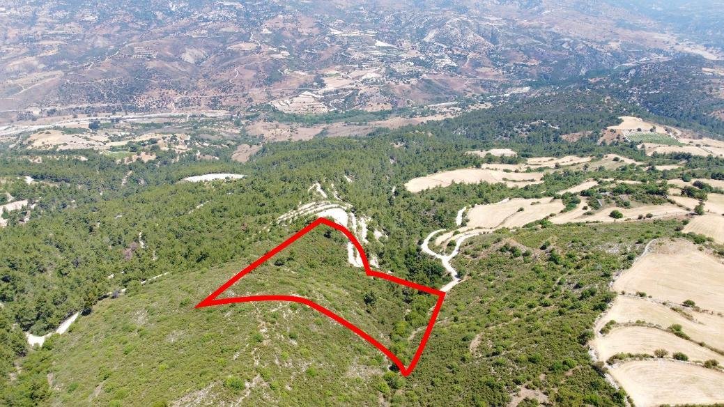 Field in Prastio, Paphos photo 1