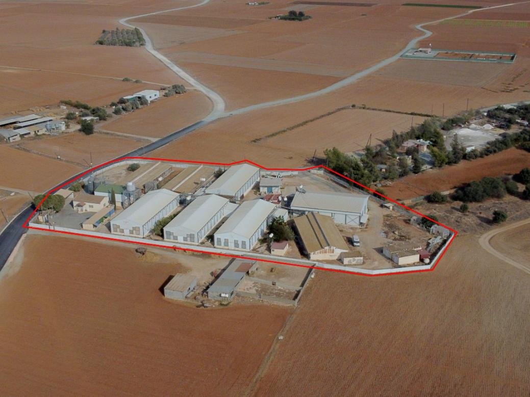 Farm in Xylotymvou, Larnaca photo 1