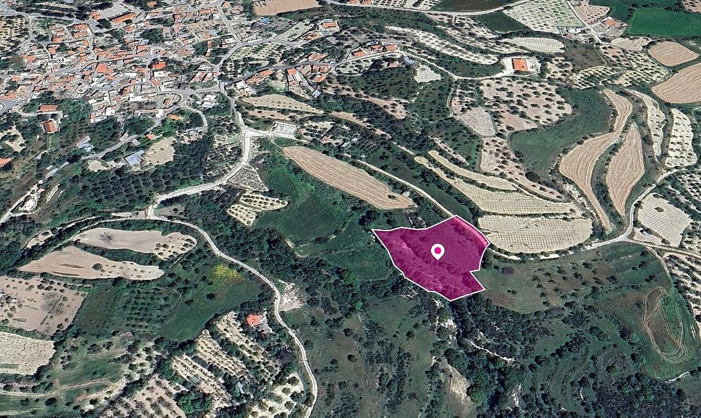 Field, Kallepeia, Paphos photo 3