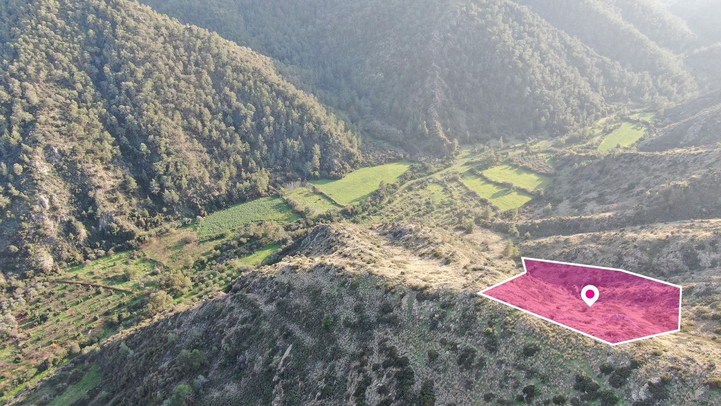 Agricultural field located in Pigenia, Nicosia photo 3