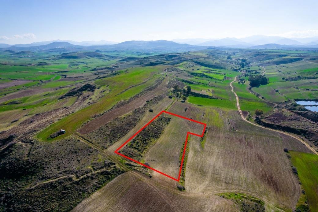 Field in Orounta, Nicosia photo 5