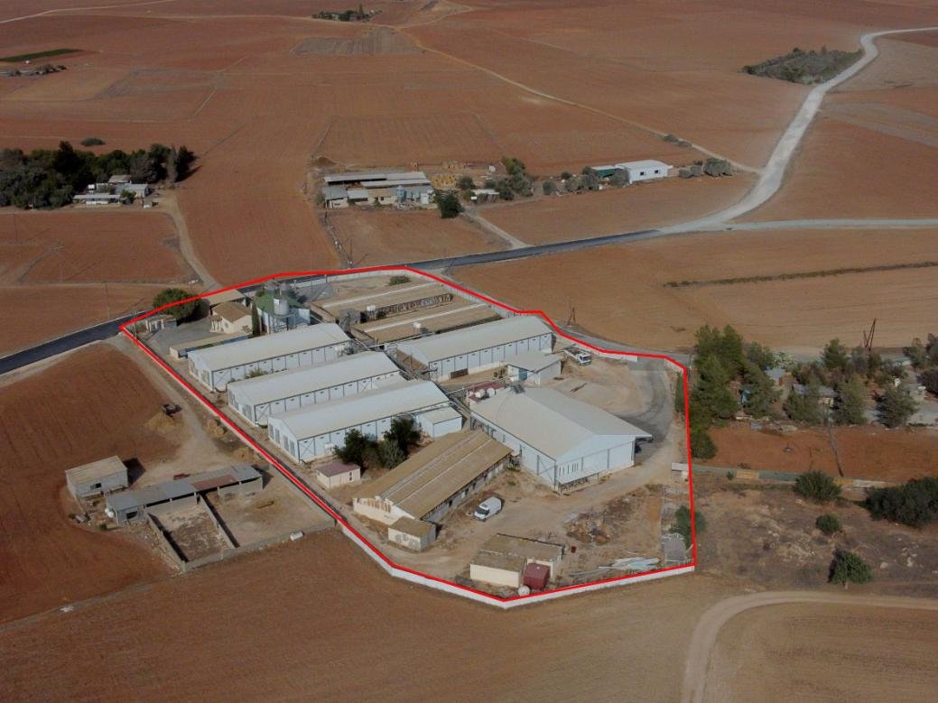 Farm in Xylotymvou, Larnaca photo 2