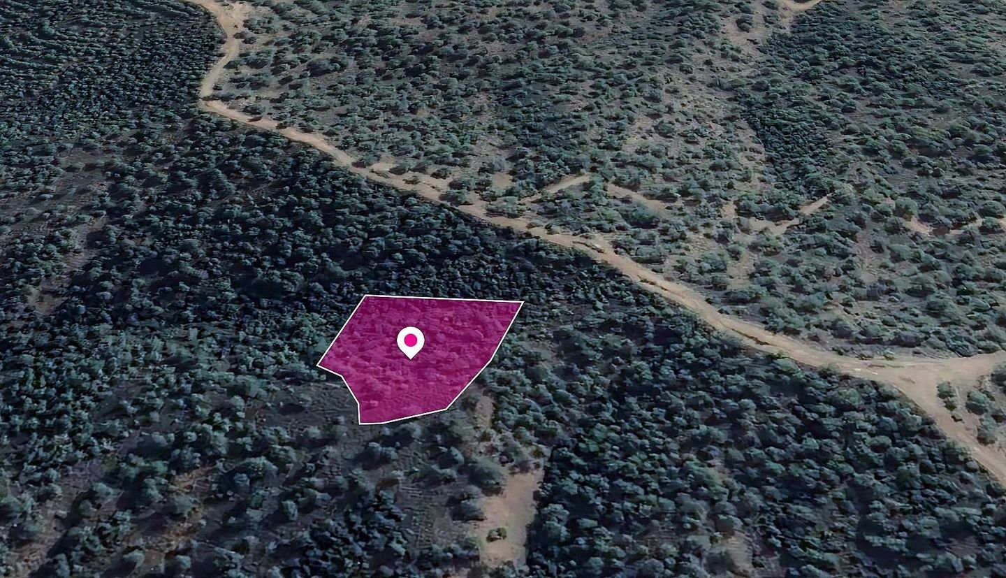 Field in Kampos, Nicosia photo 3