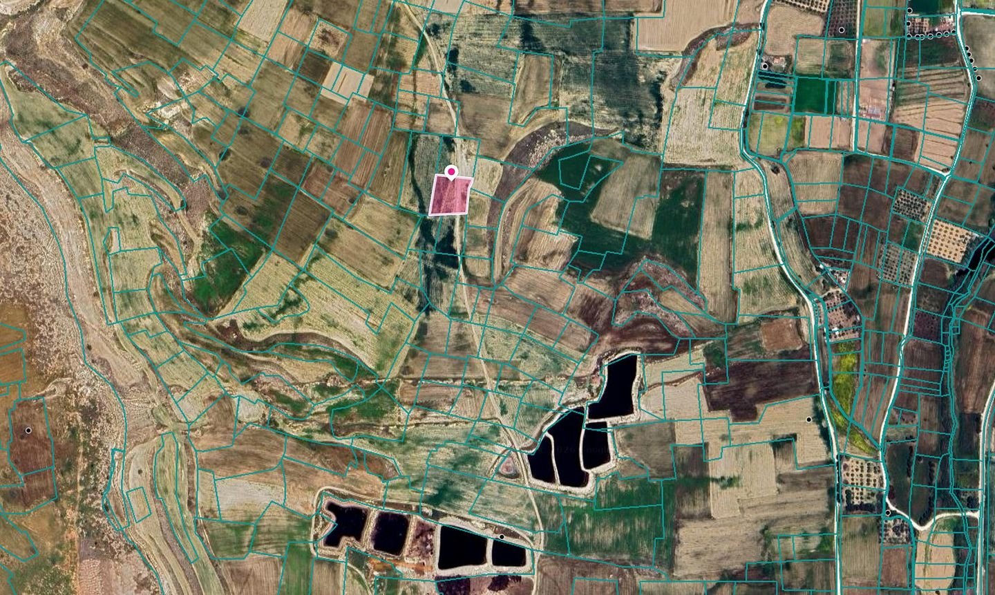 Agricultural field in Kokkinotrimithia, Nicosia photo 2