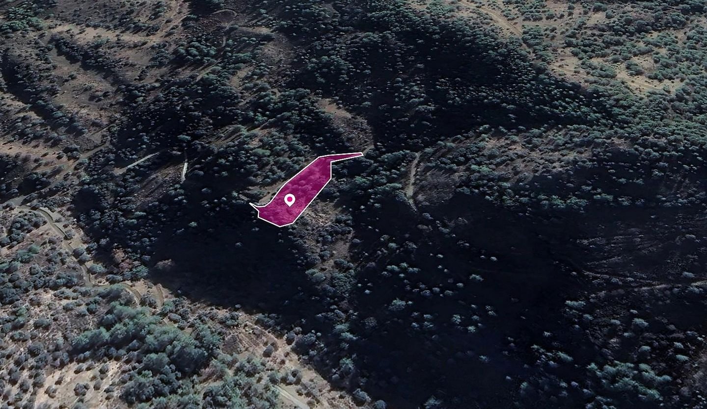 Field, Kaminaria, Limassol photo 3