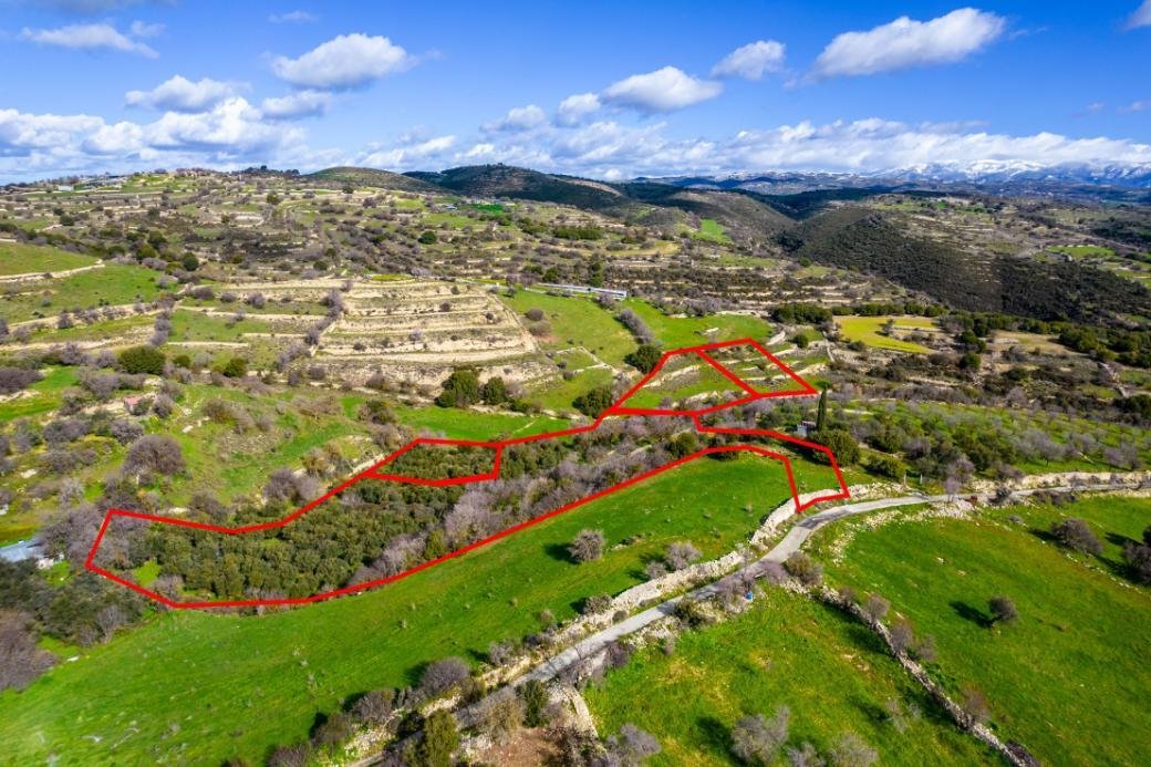 Residential fields in Dora, Limassol photo 2