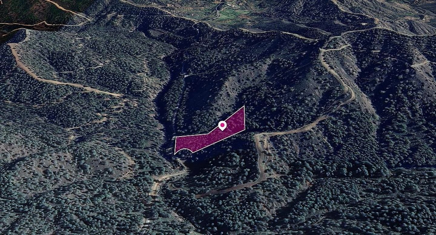 50% share of agricultural field in Kapedes, Nicosia photo 4