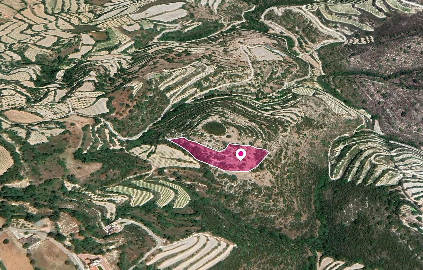 Agricultural Field, Koili, Paphos photo 4