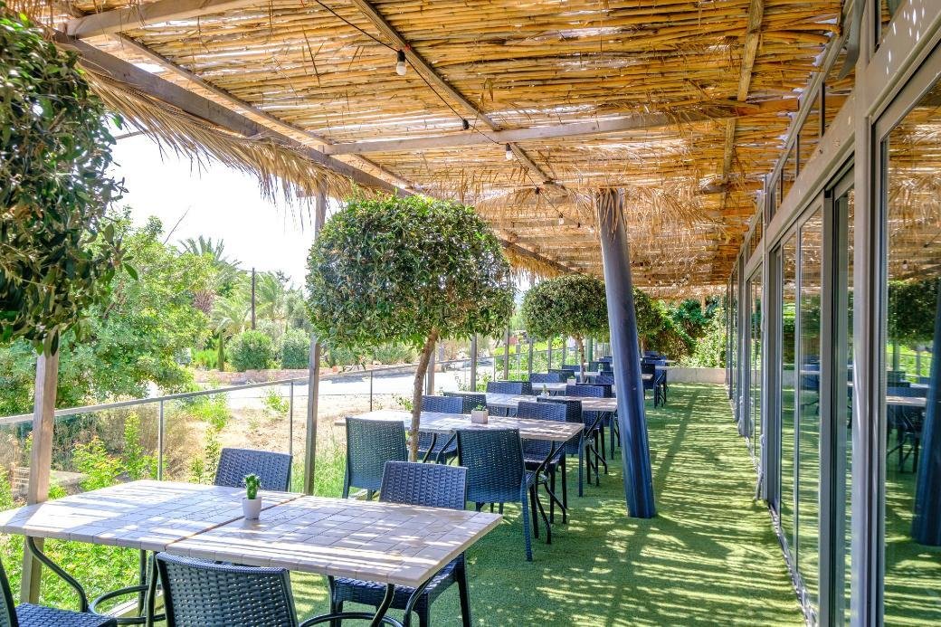 1-bedroom apartment in Latchi, Paphos photo 22