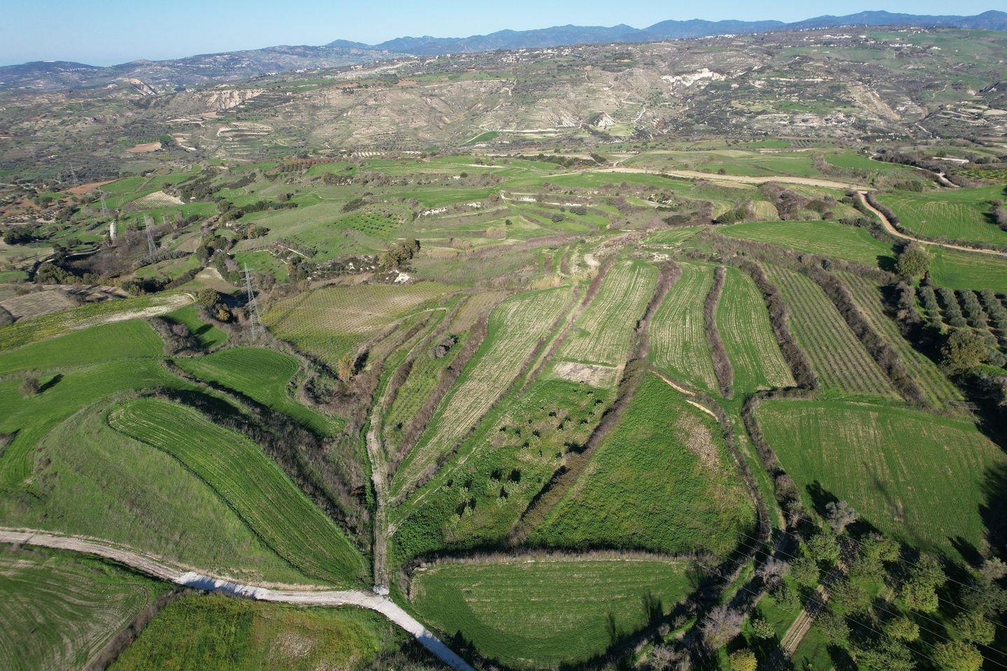 Agricultural Field, Stroumbi, Paphos photo 5