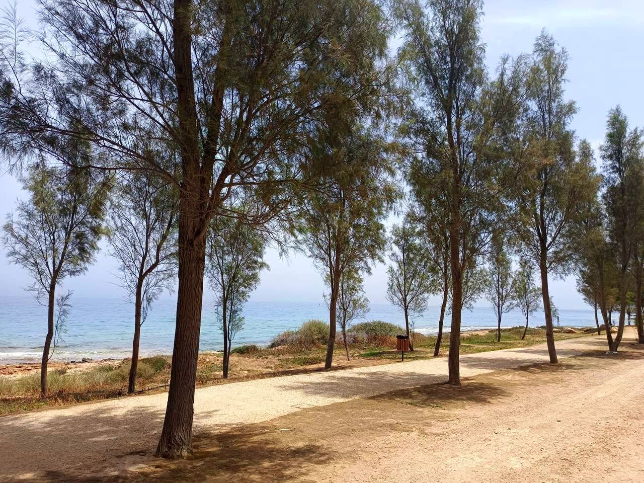 2 BR Apartment in Paralimni, Famagusta photo 15