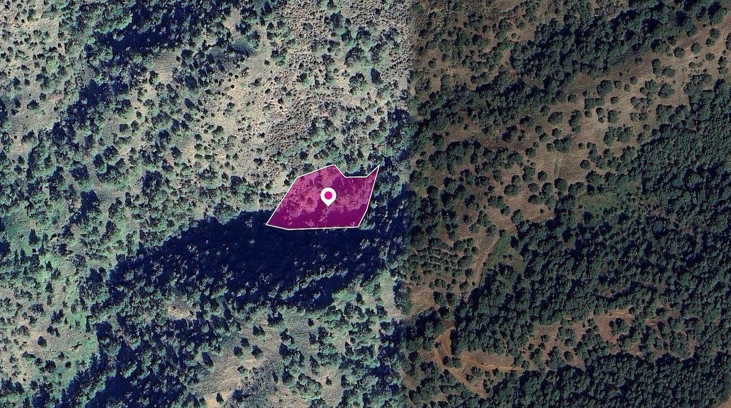 Agricultural Field, Pomos, Paphos photo 3