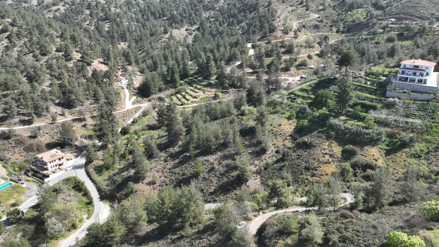 17% Distributed Share of a residential field,in Kakopetria, Nicosia photo 7