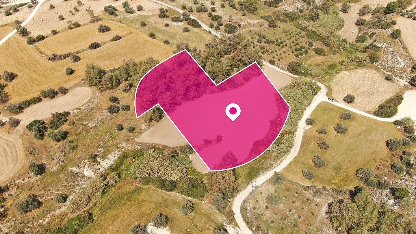 Field in Anglisides, Larnaca photo 2