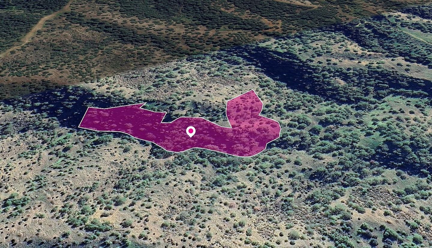 (Share) Field, Pomos, Paphos photo 2