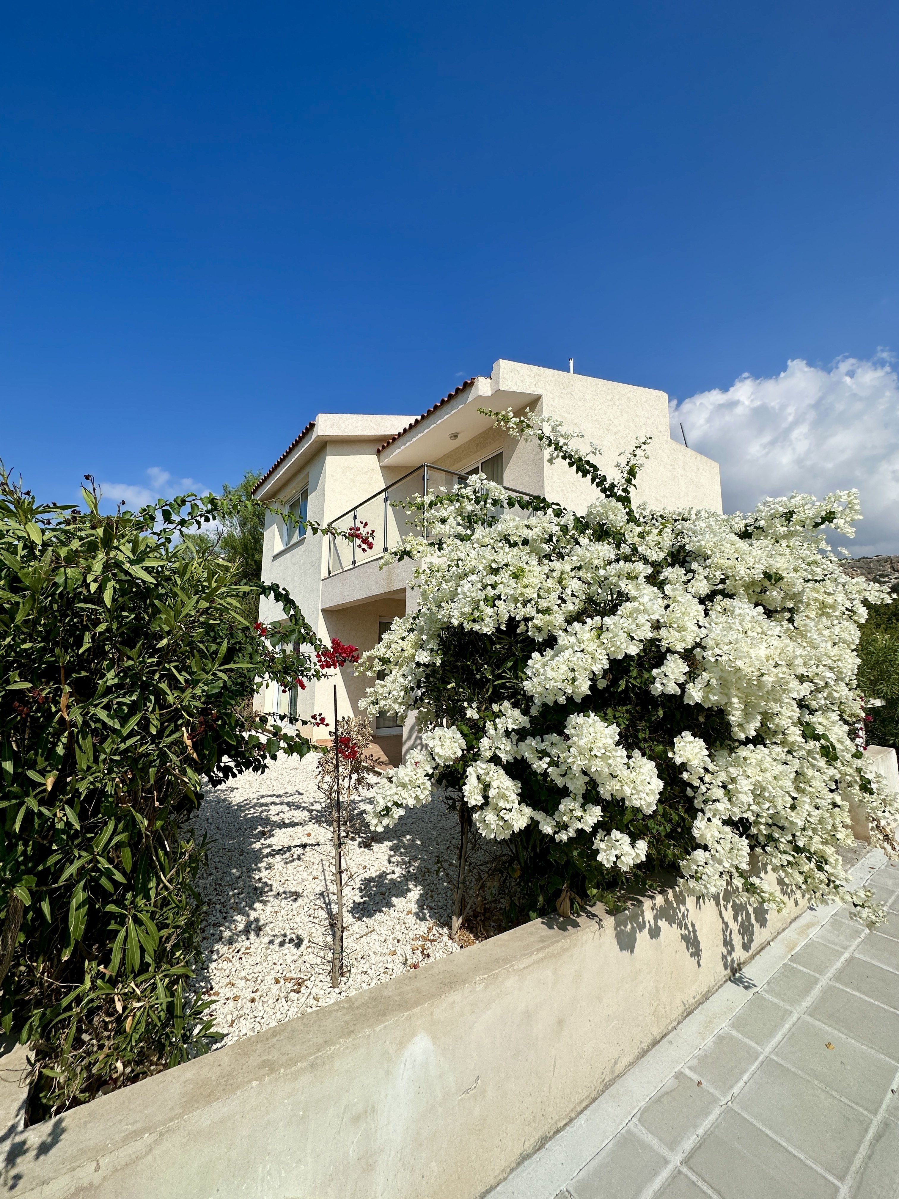 3 BR Villa in Pegeia, Paphos photo 3