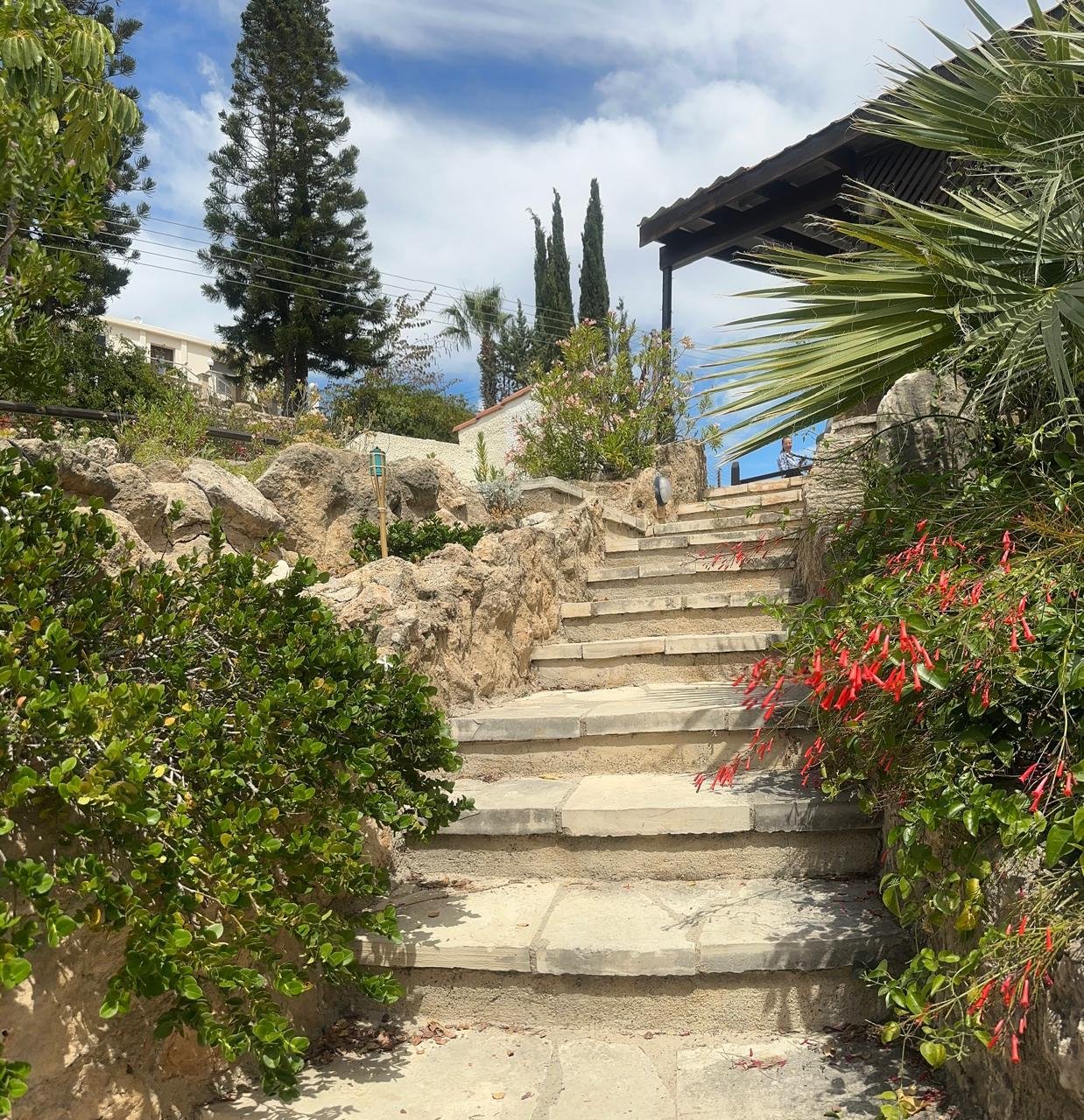 3 BR Bungalow in Tala, Paphos photo 12