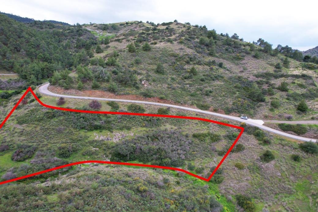 Field in Pano Pyrgos, Nicosia photo 3