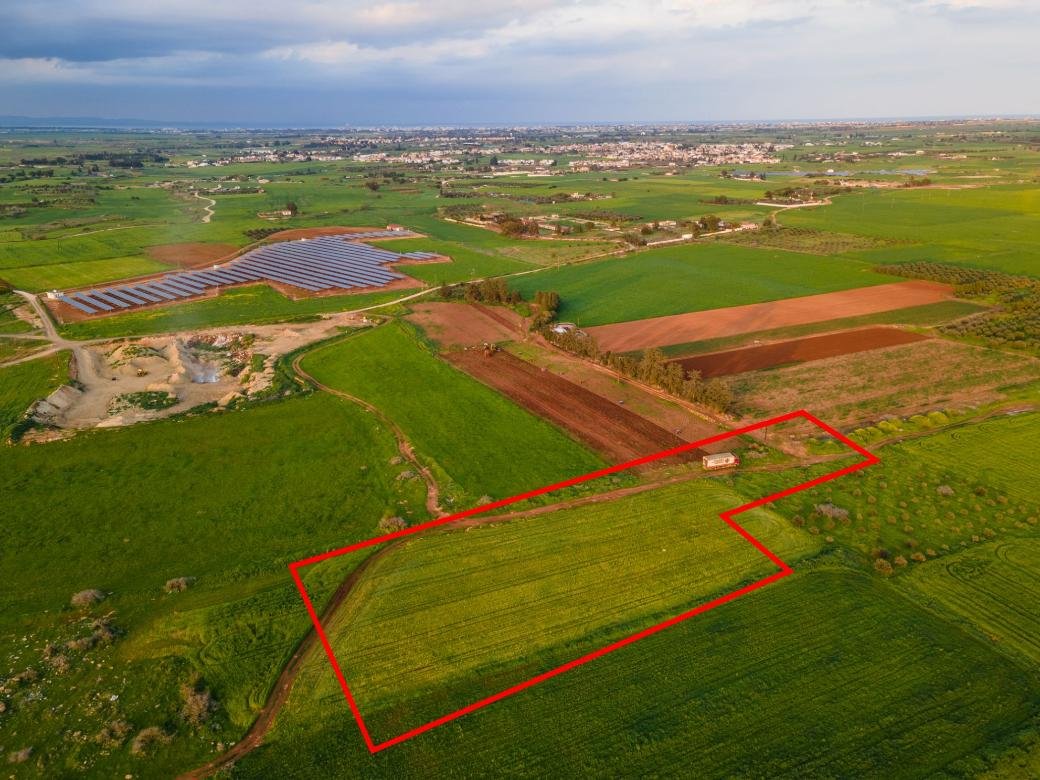 Agricultural field in Avgorou, Famagusta photo 4