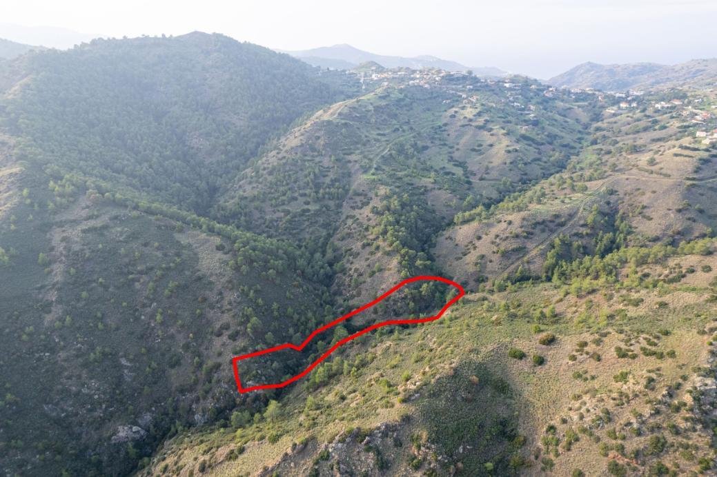 Shared agricultural field in Pigenia, Nicosia photo 3