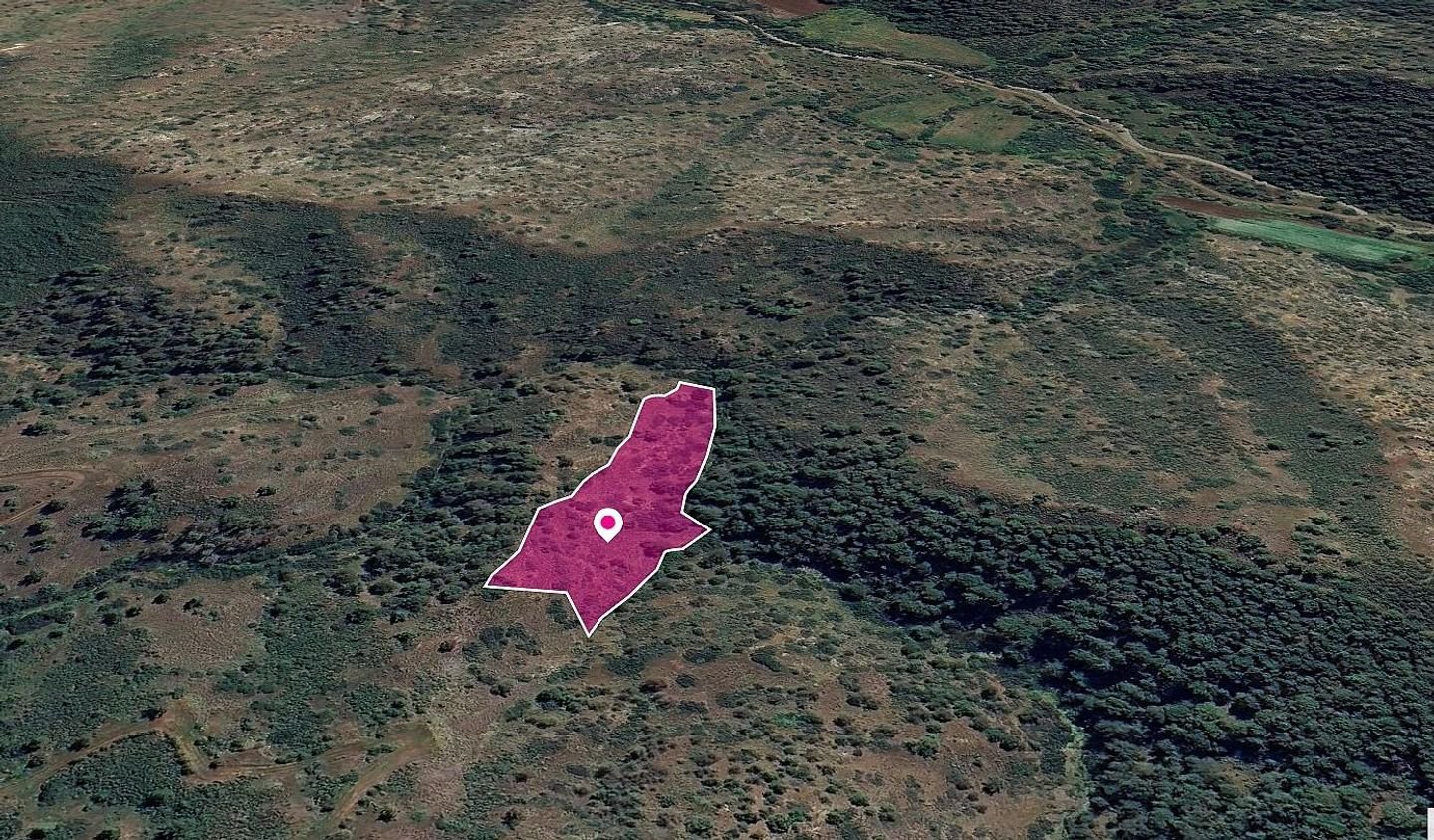 Agricultural Field in Pigenia, Nicosia photo 2