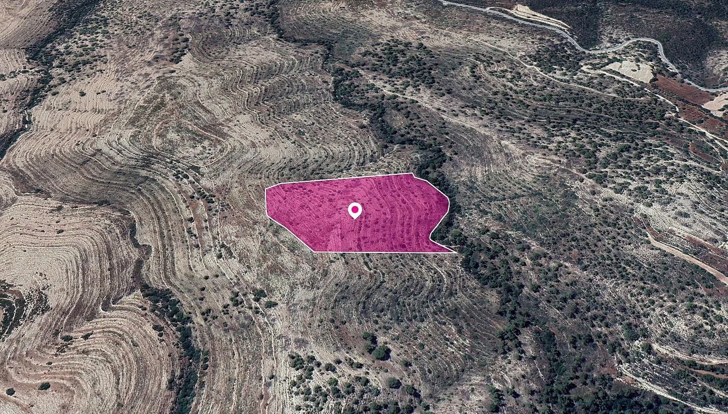 Field, Agios Therapon, Limassol photo 3