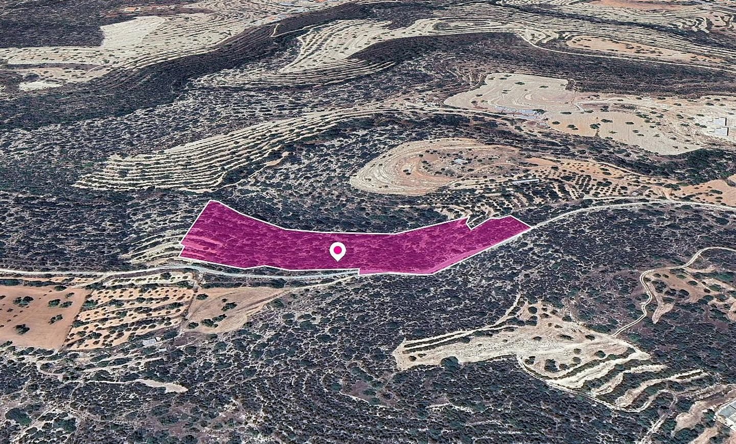 Field in Apesia Community, Limassol photo 3