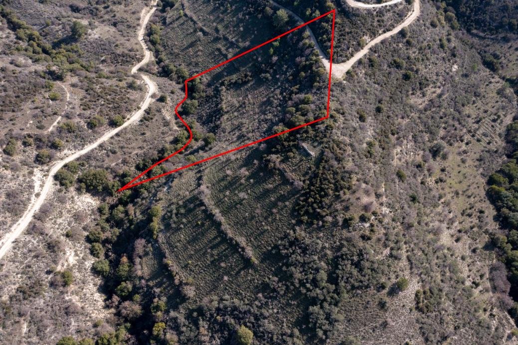 Field in Dora, Limassol photo 3