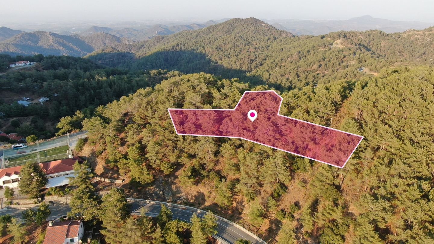 (Share) Residential field in Vavatsinia in Larnaca photo 2