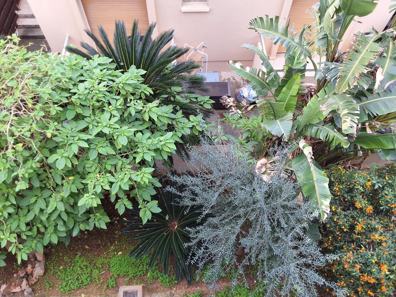 Mixed-Use Commercial & Residential Building in Kato Polemidia, Limassol photo 22