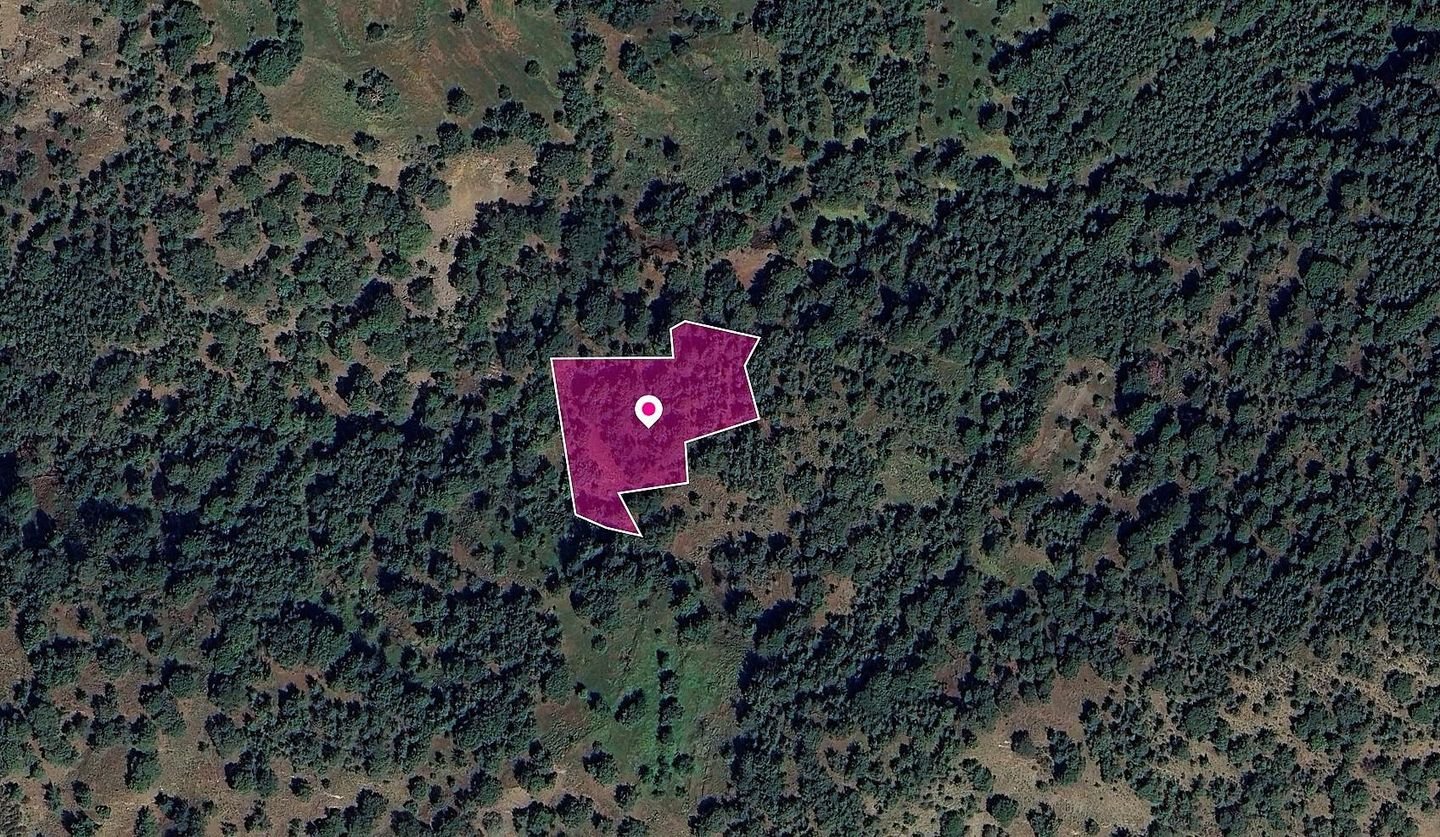 Special Protection FIeld, Pomos, Paphos photo 2