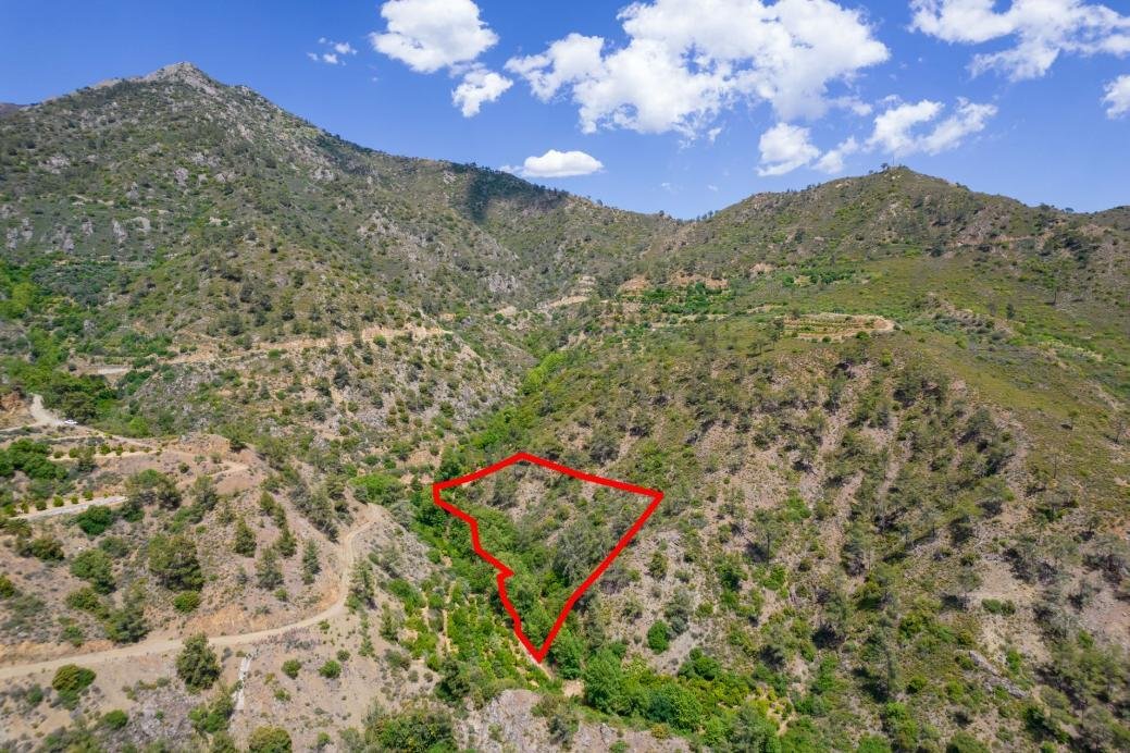 Four fields in Sykopetra, Limassol photo 1