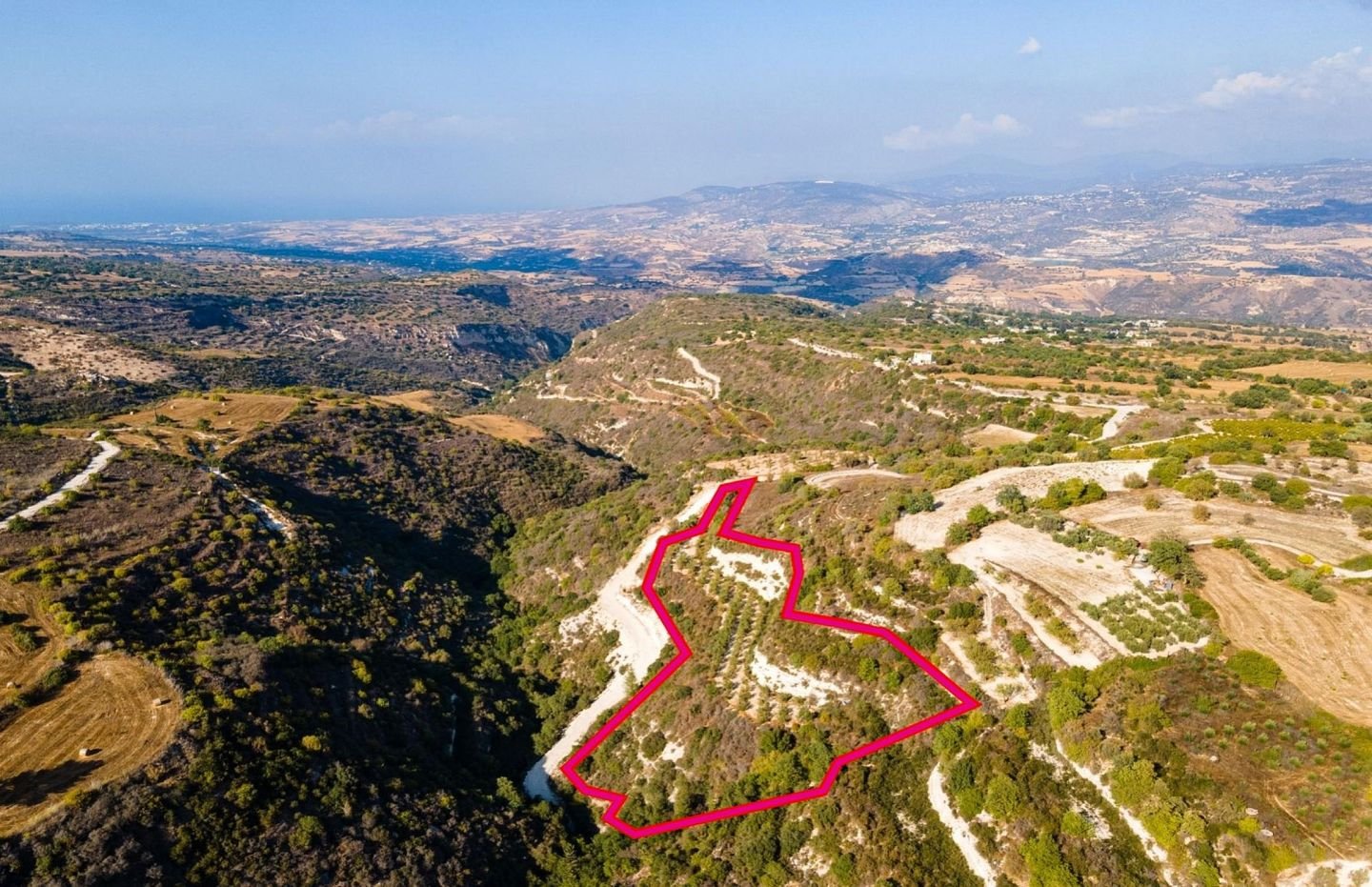 Agricultural field, Pano Akourdaleia photo 4