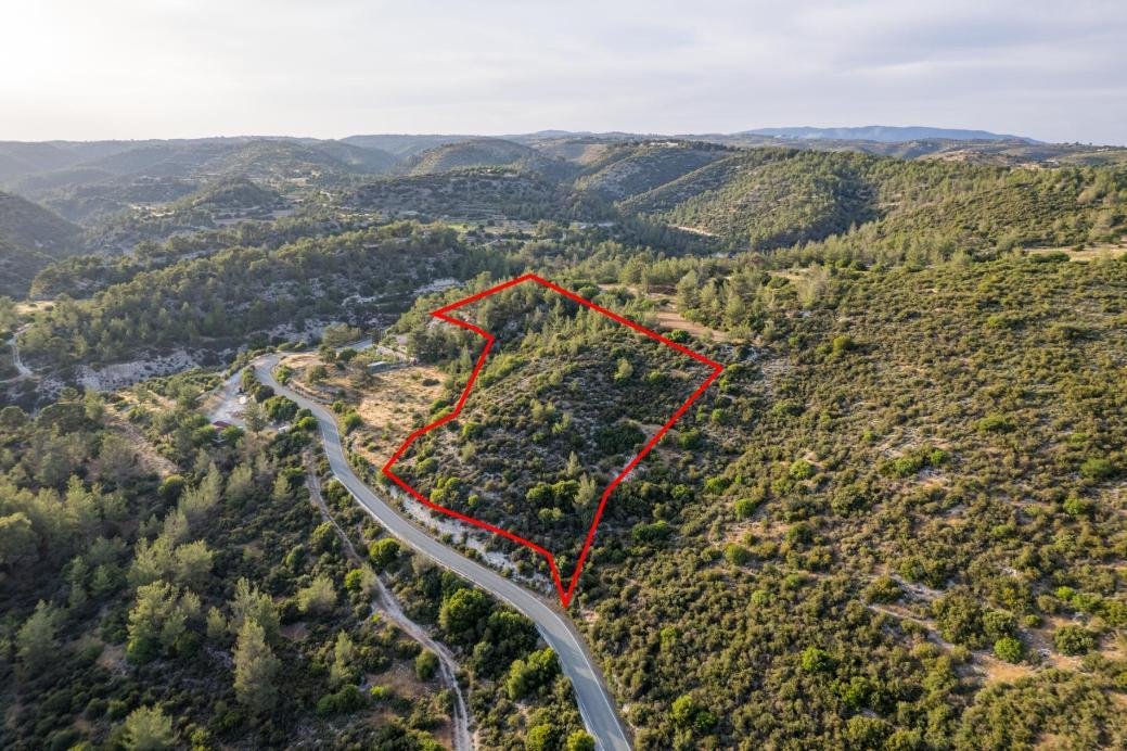 Field in Agios Therapon, Limassol photo 4