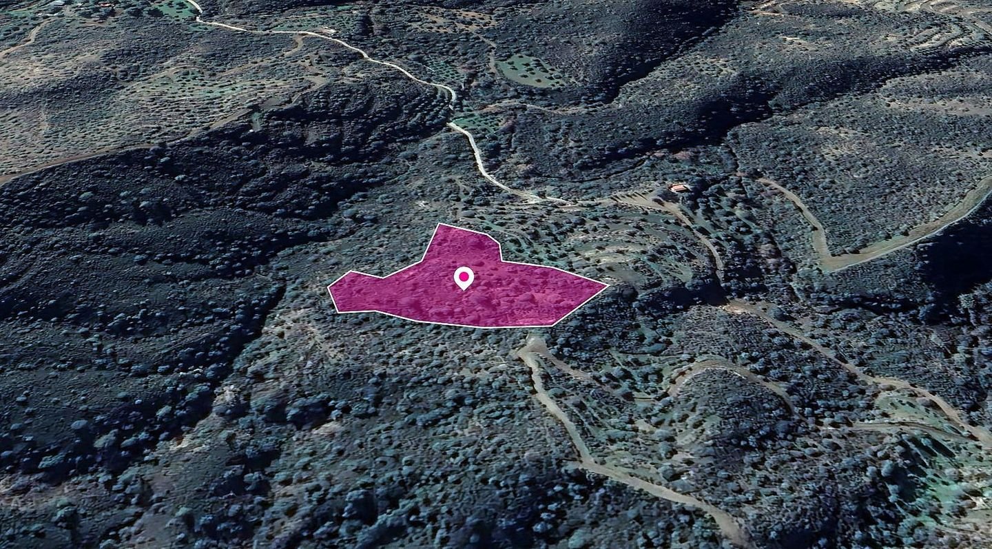 Field in Vavla, Larnaca photo 3