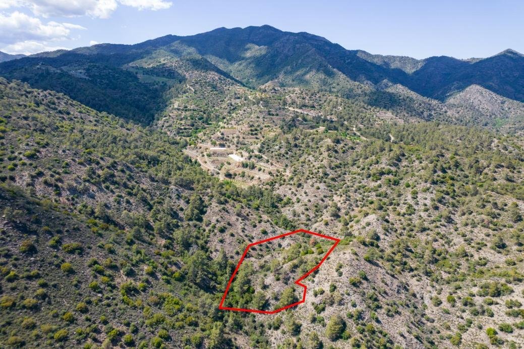 Four fields in Sykopetra, Limassol photo 3