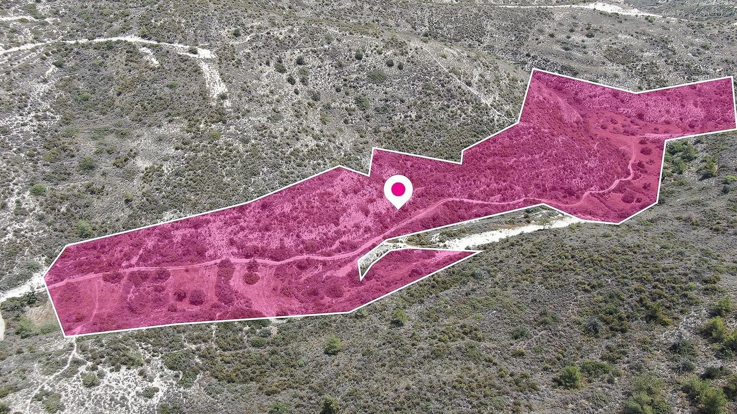 Agricultural Field, Asgata, Limassol photo 4