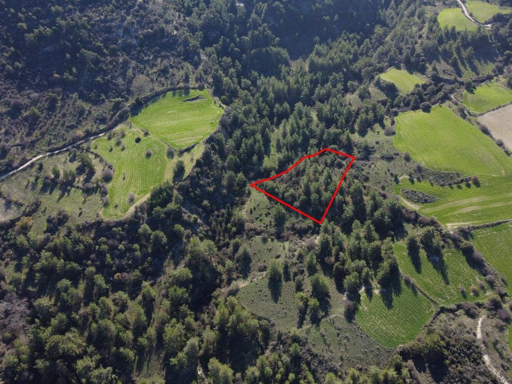 Field in Mousere, Paphos photo 3