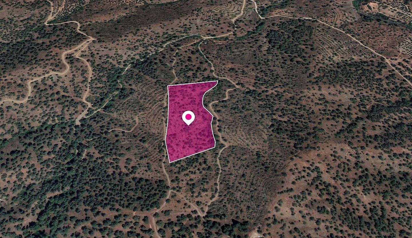 Special Protection Zone Field in Agios Theodoros, Nicosia photo 2