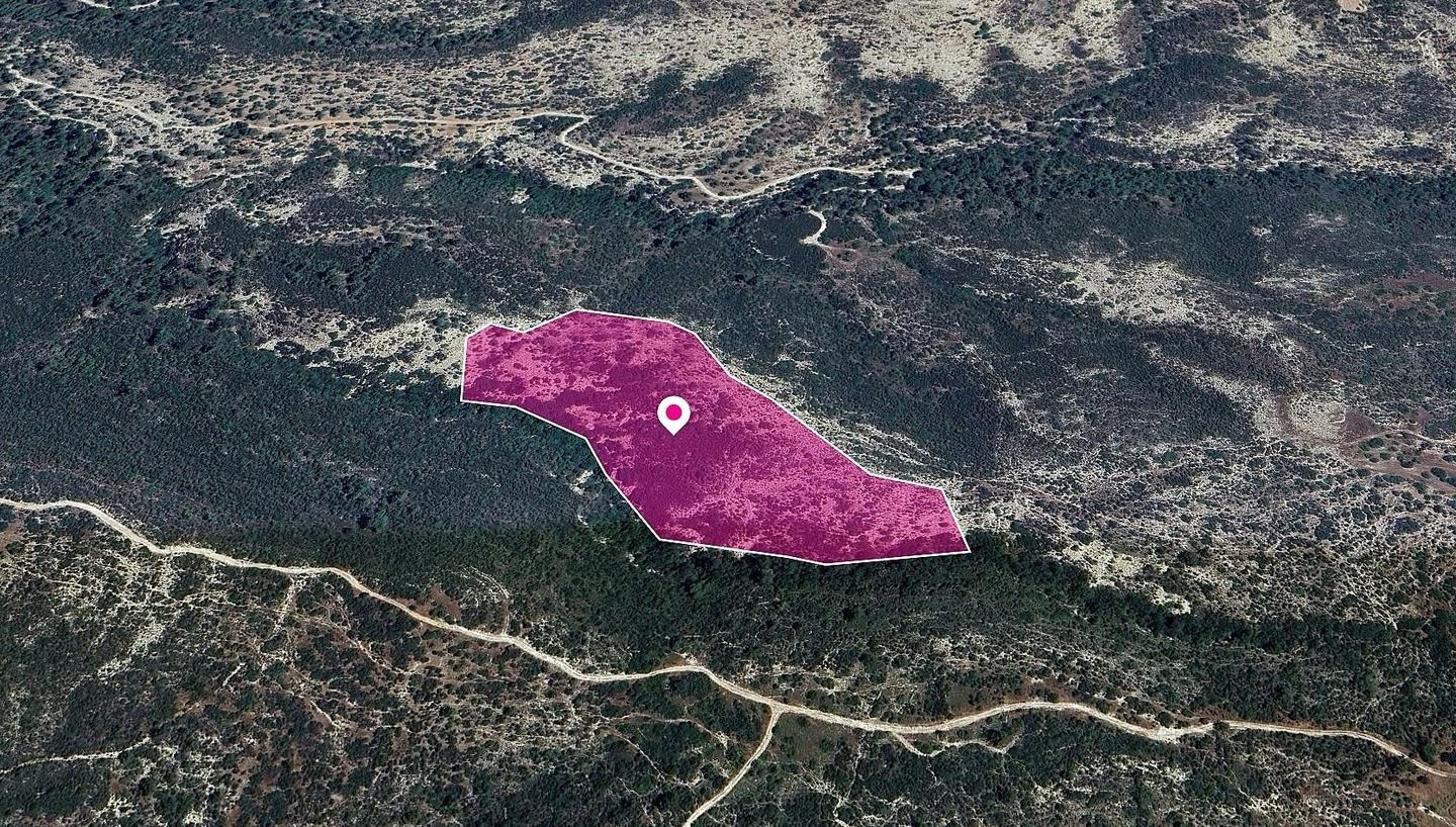 Field in Platanisteia Community, Limassol photo 2