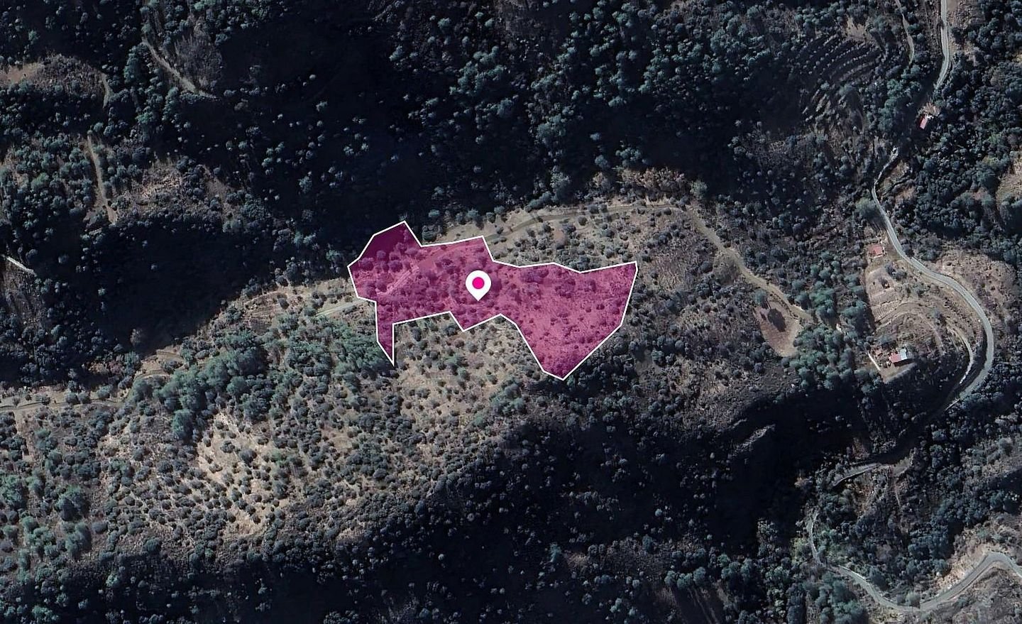 Field, Kaminaria, Limassol photo 2