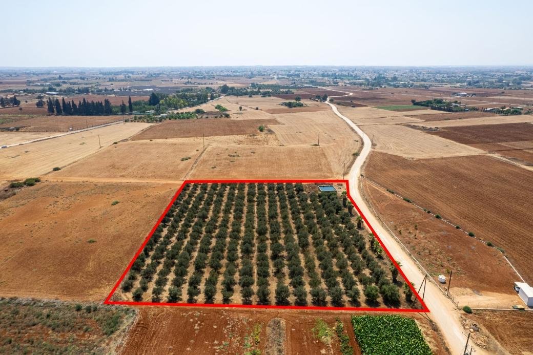 Agricultural field in Avgorou, Famagusta photo 4