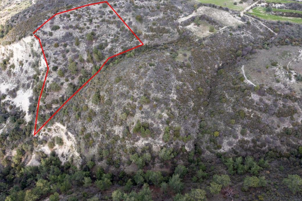 Field in Dora, Limassol photo 2